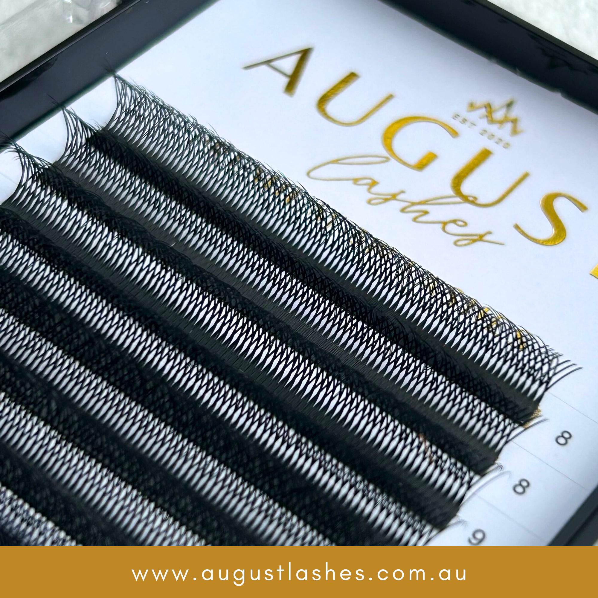 0.07 - W Lashes – August Lashes