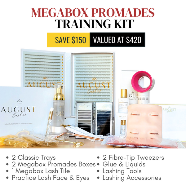 Professional Eyelash Extension Training Kit - Megabox Promade Fans