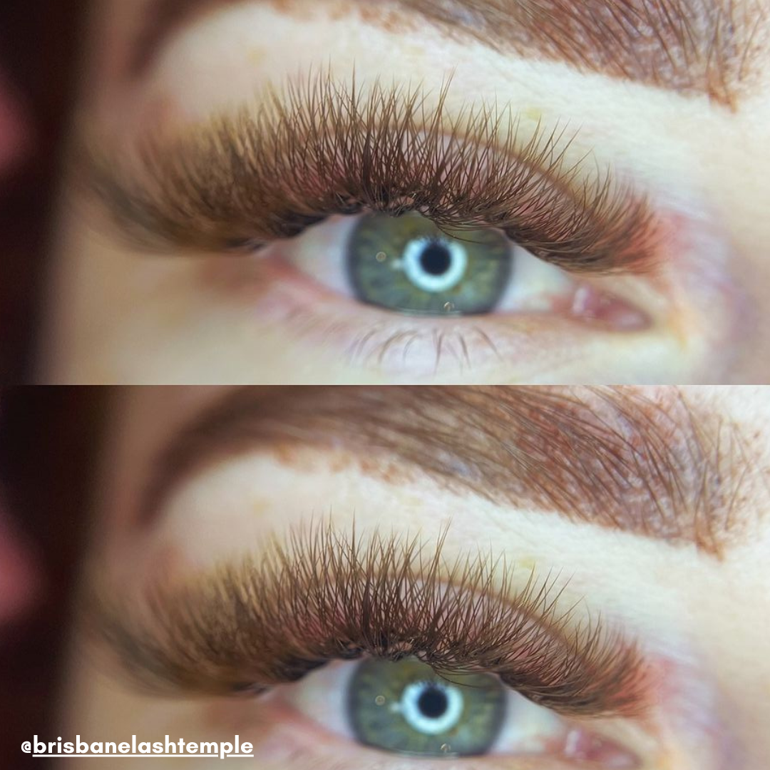 6D Promade Eyelash Extensions – August Lashes