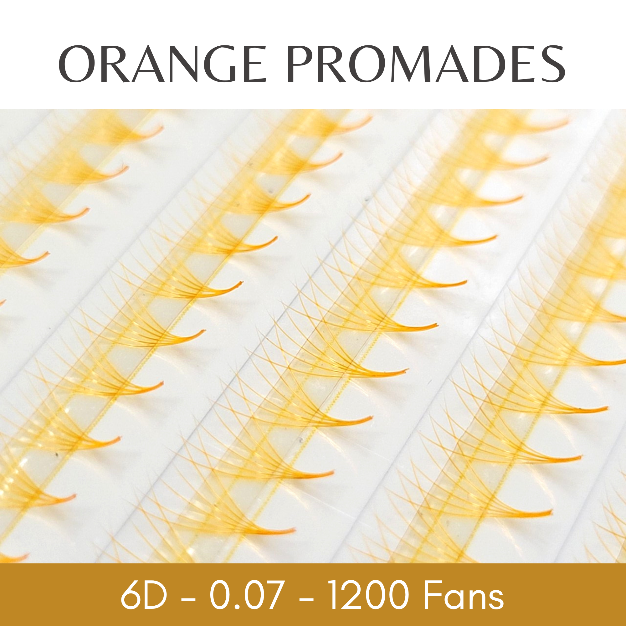 6D Promade Eyelash Extensions – August Lashes