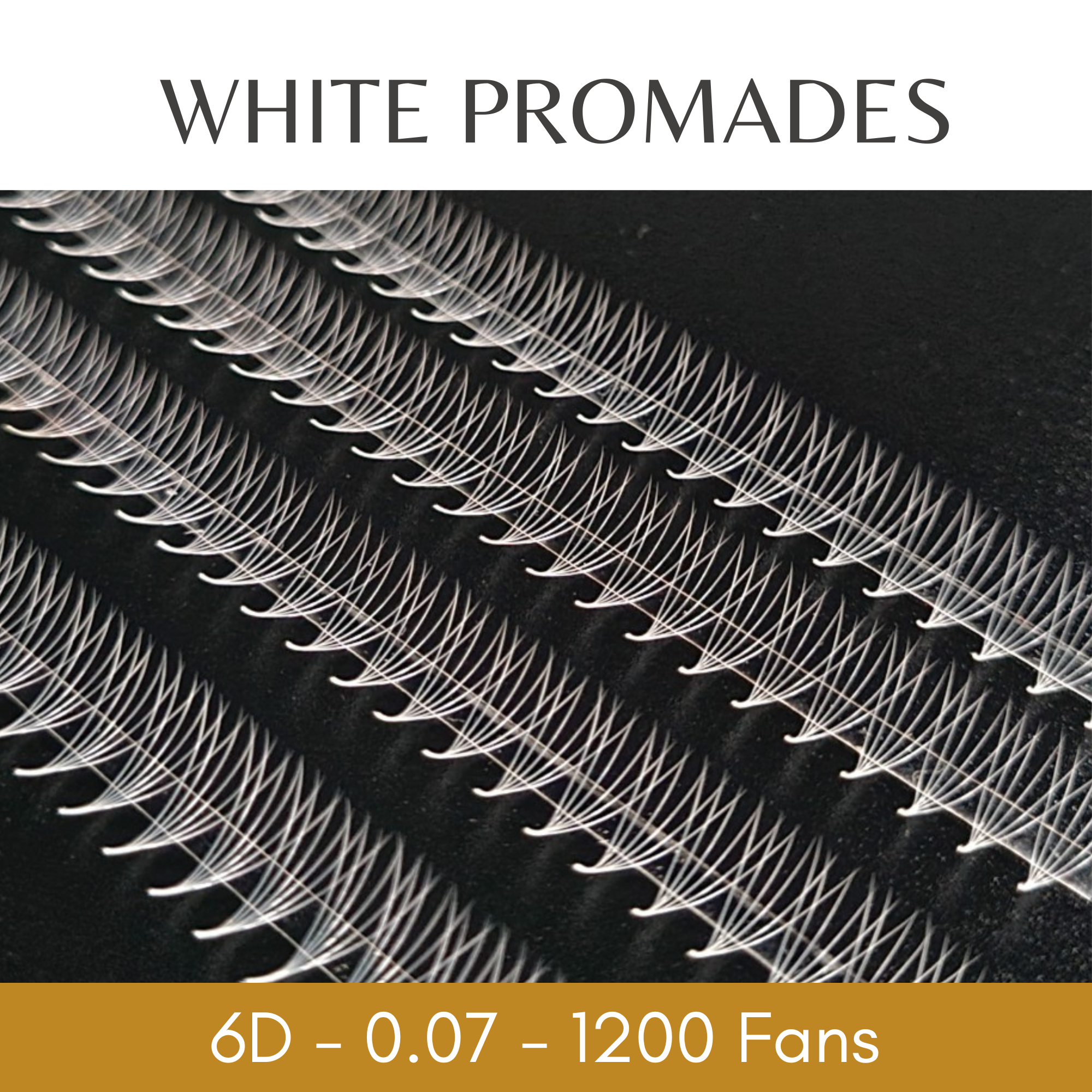 6D Promade Eyelash Extensions – August Lashes