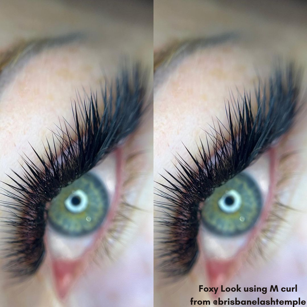 10D Promade Eyelash Extensions – August Lashes